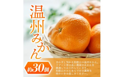 【先行予約】 道の駅くしがきの里セット 富有柿3個・温州みかん約30個の詰め合わせ こだわり農家厳選  【2026年11月初旬頃から2026年12月中旬頃順次発送】/ みかん 温州みかん 柿 富有柿 かき 詰め合わせ 果物詰め合わせ 果物 フルーツ おやつ【kgr022】