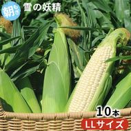＜2026年発送＞ 富良野産 “朝もぎ” ホワイトコーン「雪の妖精」10本 LLサイズ とうもろこし コーン