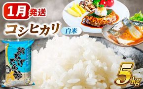 ＼2026年1月発送分／ コシヒカリ 白米 5kg / 脇野コンバイン[AECP021-5]