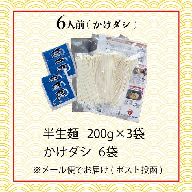 丸亀の讃岐うどん 半生麺 6人前 かけだし 本場の製麺所が本気で作った うどん 讃岐うどん さぬきうどん 半生うどん 半生 麺 麺類 個包装 常温 常温保存 簡単調理 日持ち 備蓄 さぬき 讃岐 香川県 香川 丸亀市 丸亀