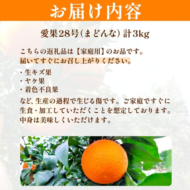 【先行予約】【数量限定】浅野農園の愛果28号（まどんな）家庭用計3kg※離島への配送不可（2026年12月中旬～2027年1月中旬頃に順次発送予定）IKTAC024