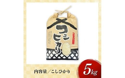 米 【令和7年産】宮崎県産米　村井農園産こしひかり（精米）5kg 【 米 お米 白米 精米 こしひかり 国産 宮崎県産 おにぎり 】☆[C10004]