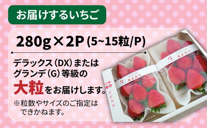 【農家直送！】【先行受付】糸島産 春 あまおう 280g × 2パック  (DXまたはGサイズ)  【2027年2月上旬以降順次発送】糸島市 / 後藤農園 [AML004] いちご 福岡