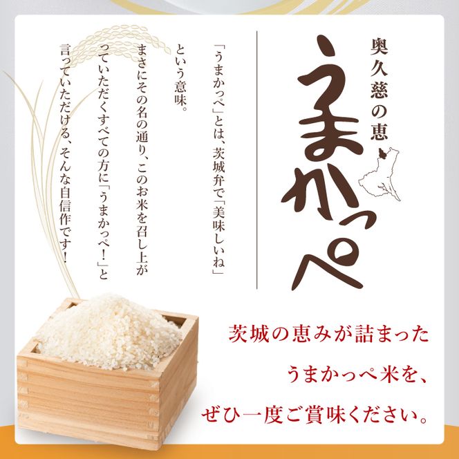 【2ヶ月定期便】令和7年産　奥久慈の恵みうまかっぺ米（コシヒカリ） 5kg｜茨城県 大子町 お米 白米 精米 ブランド米 銘柄米 食味値 ふっくら もちもち（AH018）