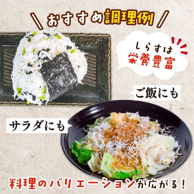 しらす干し 約1.3kg（100g×13パック） 南知多篠島産 大一商店 冷凍 小分け 愛知県 南知多町