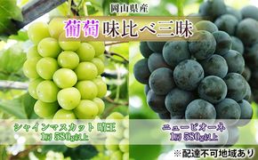 ぶどう 2026年 先行予約 葡萄 味比べ三昧 シャイン マスカット 晴王 1房 580g以上 ニュー ピオーネ 1房 580g以上（ハウス栽培）詰合せ ブドウ 葡萄  岡山県産 国産 フルーツ 果物 ギフト 