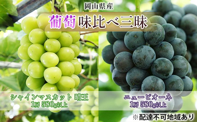 ぶどう 2026年 先行予約 葡萄 味比べ三昧 シャイン マスカット 晴王 1房 580g以上 ニュー ピオーネ 1房 580g以上（ハウス栽培）詰合せ ブドウ 葡萄  岡山県産 国産 フルーツ 果物 ギフト 