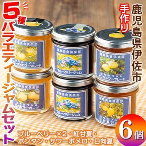 isa476 《数量限定》5種のバラエティージャム食べ比べセット(計6個・ブルーベリー×2、紅甘夏、ボンタン、サワーポメロ、日向夏)【薩摩美食倶楽部】