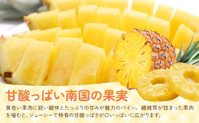 パインドリンク 果汁30% 30缶 190g/1缶 南海果工株式会社《3月中旬～出荷予定(土日祝除く)》和歌山県 日高川町 　パイナップル パイン 送料無料---wshg_nkka11_bc32_23_16500_30---