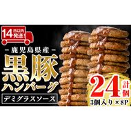 a1003 ＜年内発送＞鹿児島県産黒豚ハンバーグ 計24個 (210g(3個入)×8P) 【AKR Food Company】姶良市 ハンバーグ デミグラスソース デミソース 国産 鹿児島県産 肉 豚 豚肉 かごしま黒豚さつま お弁当 惣菜 総菜 冷凍ハンバーグ おかず 温めるだけ 湯煎 簡単 冷凍 小分け