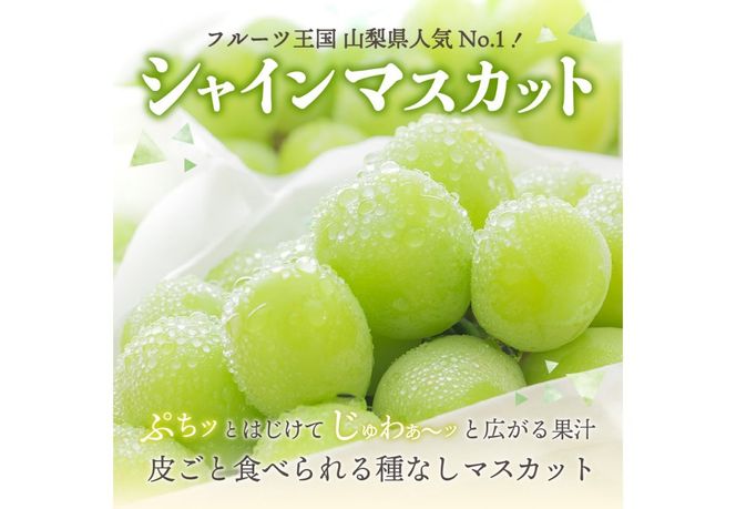2026年発送【フルーツ王国】 山梨県産 シャインマスカット （約1.4kg / 約2.0kg）2～4房  高級 フルーツ 果物 ぶどう シャイン 2026年発送 数量限定 期間限定 山梨 富士吉田