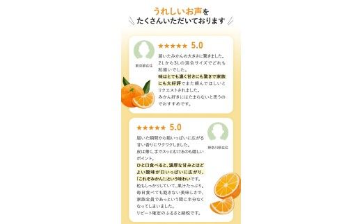 ボリューム満点！大玉  温州みかん 2kg ※秀優混合【2L～3Lサイズ】【2026年12月から2027年3月下旬頃に順次発送】＜味好農園＞/ 温州 蜜柑 みかん 柑橘 果物 フルーツ ミカン 甘い 美味しい【agy004-l-2】