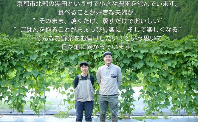 ＜定期便6回＞【よしだのはたけ】旬の野菜8品 やさいBOX｜京都 京北 農家直送 野菜 人気セット [ 旬のお野菜 新鮮 おまかせセット 美味しい 産地直送 野菜詰め合わせ 野菜セット 野菜定期便 人気 おすすめ ギフト プレゼント お取り寄せ 通販 送料無料 ふるさと納税 ] 261009_B-XZ02