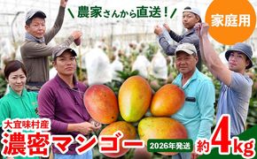 【2026年発送】ご家庭用！濃密マンゴー《家庭用・約4kg》農家さんより直送！ 家庭用 先行予約 沖縄 甘味 糖度 濃厚 おいしい お土産 まんごー アーウィン 果物 くだもの 果実 送料無料 ふるさと納税 ４キロ トロピカル 箱入り 食べ物 フルーツ