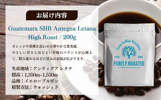 【完全受注焙煎】Tree Coffee Roasters「グアテマラ アンティグア レタナ ハイロースト」 200g - コーヒー 豆 こだわり 自家焙煎 コーヒー豆 熱風式焙煎 本格 贈り物 おすすめ 人気 沖縄県 八重瀬町
