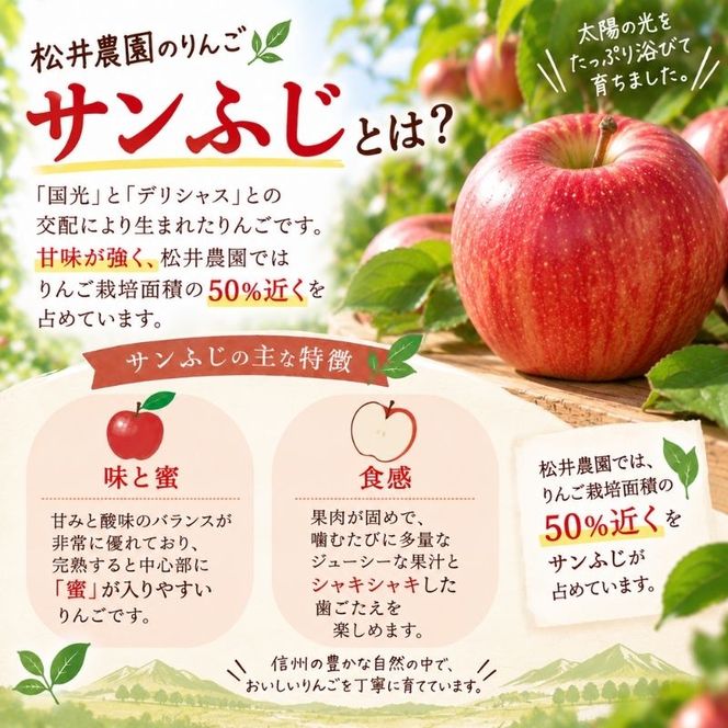 バター【ふじりんごバター（140g）２個セット】りんご リンゴ りんごバター ふじ 完熟 アップル 果物 ペースト トッピング バタースプレッド トースト ヨーグルト 信州 長野