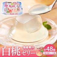 山形県産白桃 ゼリー1袋4個入×12袋 和歌山産業提供 山形県 東根市 hi070-006