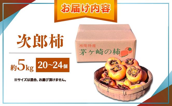 茅ヶ崎市 昔ながらの次郎柿 約5kg (20～24個入り) よゐな農園 柿 かき カキ 次郎柿 果物 くだもの フルーツ 神奈川県 茅ヶ崎市
