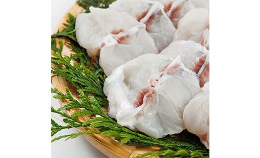 ＜ 訳あり ・ 簡易包装 ＞ 豊後水道 とらふぐ 切り身 (計1.2kg) ふぐ フグ トラフグ ふぐ鍋 唐揚げ ふぐちり てっちり 小分け 切身 切り身魚 切身魚 大容量 国産 冷凍 養殖 岬ふぐ【JJ002】【浪井丸一水産】