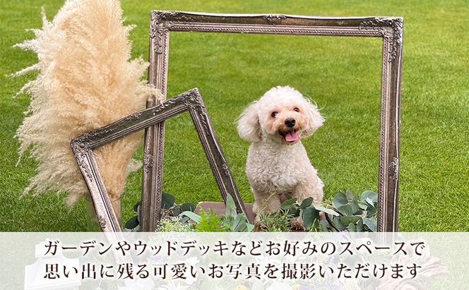 岩崎台倶楽部グラスグラス 6,000円分 お食事券 補助券 チケット ランチ フレンチ コース 愛犬 ペット 日進市 愛知県