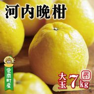 【先行予約：2027年4月上旬～発送】訳あり 河内晩柑 大玉 7kg +傷み保証1kg 8000円 みかん かわちばんかん わけあり 愛南ゴールド あいなん ゴールド 美生柑 文旦 グレープフルーツ 和製 家庭用 産地直送 国産 農家直送 期間限定 数量限定 特産品 ゼリー ジュース 人気 限定 さわやか 甘い フルーツ 果物 柑橘 蜜柑 規格外 塚岡農園 愛南町 愛媛県
