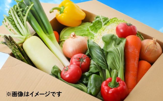 野菜のプロが選ぶ 旬の野菜セット 12〜13品目 野菜定期便 / 野菜 やさい セット 新鮮 / 南島原市 / 愛2農園[SGG005]