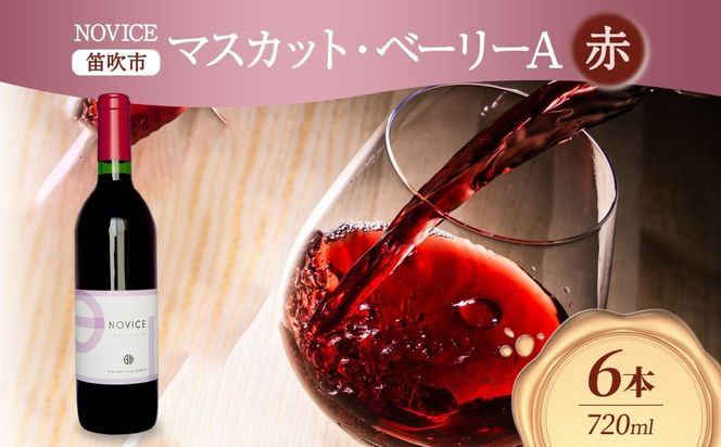赤ワイン NOVICE マスカット・ベーリーA 720ml×6本 フルボトル  ワイン お酒 赤 山梨 送料無料 日川中央葡萄酒 山梨県 笛吹市 177-7-31