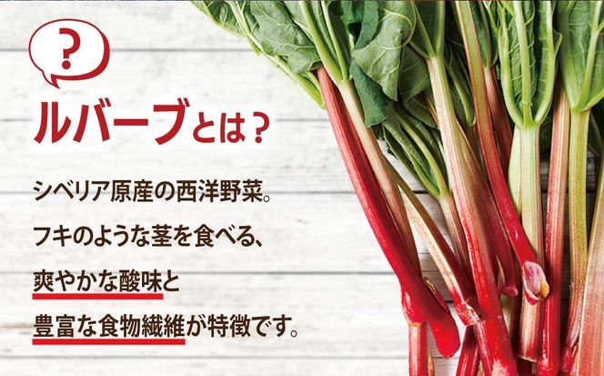 北海道 伊達市産 ルバーブ(苗) 2本｜国産 野菜 ジャム パイ お菓子作り 家庭菜園【kzh-019】