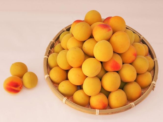 ［梅干づくり用］紀州南高梅2kg（3Lサイズ） 304018_AV10