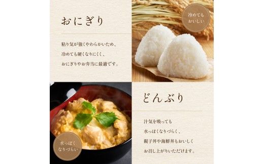 米 【6ヵ月定期便】R8年産米 北海道南るもい産　ゆめぴりか(白米)5kg 全6回 R011-024-R8
