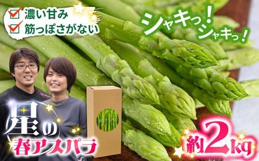 【2025年2月下旬～発送】【数量限定】甘い！柔らかい！【星のアスパラ】グリーン アスパラガス 約2kg / アスパラ アスパラガス 野菜 / 南島原市 / ほしのYA [SEY002]