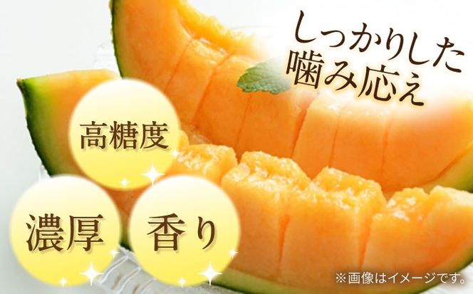 【2026年5月〜発送】訳あり タカミメロン レッド 1玉 / メロン めろん フルーツ 果物 / 南島原市 / 南島原果物屋[SCV034]