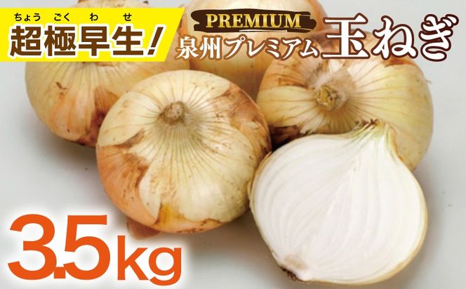 005A737 【先行予約】泉州たまねぎ 3.5kg【超極早生 玉ねぎ 農家直送 新鮮 野菜 やさい 期間限定】