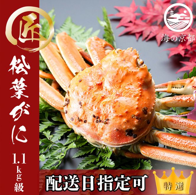 【配送日指定可】茹で松葉蟹 特々大1杯（1,100g級）蟹 カニ かに 松葉蟹 松葉ガニ ズワイガニ ボイル myz05 myz11 myz16