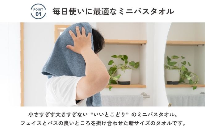 G5690 【スピード発送】soraミニバスタオル6枚セット（ホワイト/ネイビー）【フェイスタオル 以上 バスタオル 未満 泉州タオル 吸水 普段使い シンプル 日用品 たおる】