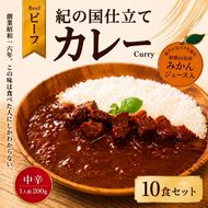 紀の国仕立て カレー （ビーフ） 10食 中辛 1人前200g (A672-1) 