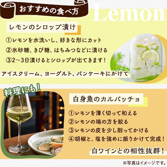 数量限定！有機JAS オーガニックレモン・ライム食べ比べセット(合計約2kg) 国産 レモン 檸檬 ライム 果実 果物 フルーツ 柑橘 デザート 期間限定 有機栽培 健康志向【中村農場】akn084-04
