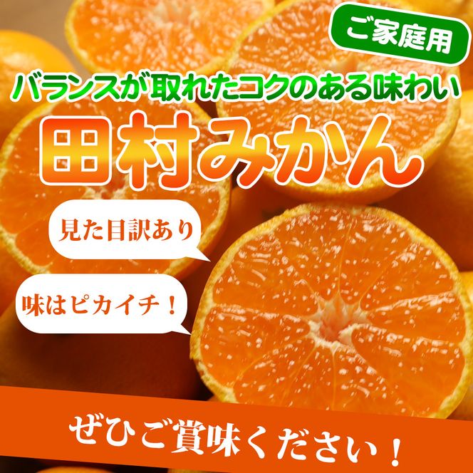 G7053_【2026年11月下旬より発送】高級ブランド 田村みかん 10kg【家庭用 訳あり】