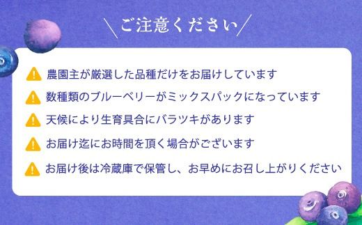 【先行受付予約】知多半島 生ブルーベリー 400g（100g×4パック） 完熟 果物 フルーツ 旬 農園直送 青果物 国産 健康 美容 愛知県 美浜町 ブルーベリーの里みはま 産地直送 ※2026年6月上旬～8月中旬に順次発送予定 送料無料 数量限定 期間限定 ※北海道・沖縄・離島への配送不可