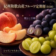 〈定期便〉【7・8・9月 全3回】紀州和歌山産旬のフルーツセット（桃・種なし巨峰・シャインマスカット）※離島への配送不可