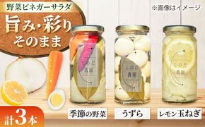 野菜ビネガーサラダ 3本（うずら・季節の野菜・レモン玉ねぎ） ビネガーサラダ 常備菜 おかず 愛西市 / しのだ農園-SHINODA FARM-[AECE009]