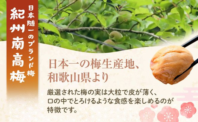訳あり 紀州南高梅 小梅 まごころ はちみつ梅 90g ×4パック 減塩5％ ［TR9w］ 304018_CS021