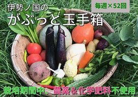 【52-1】伊勢ノ国のがぶっと野菜玉手箱　：　毎週1回定期便（大人4人1週間分）52回