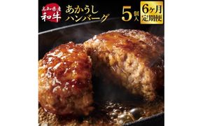 【CF-R7hbk】t212cdm　 創業50年老舗レストランの幻の和牛あかうしハンバーグ120g×5ケ 6ヶ月定期便土佐あかうし 美鮮豚 牛肉 高級 ハンバーグ 冷凍 美味しい 肉汁ハンバーグ 焼くだけ 小分け 個包装 高級 国産 定期便 定期コース 