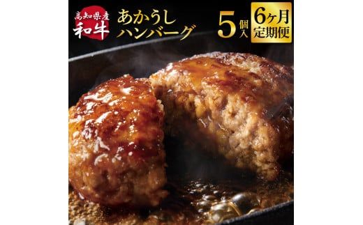 【CF-R7hbk】t212cdm　 創業50年老舗レストランの幻の和牛あかうしハンバーグ120g×5ケ 6ヶ月定期便土佐あかうし 美鮮豚 牛肉 高級 ハンバーグ 冷凍 美味しい 肉汁ハンバーグ 焼くだけ 小分け 個包装 高級 国産 定期便 定期コース 