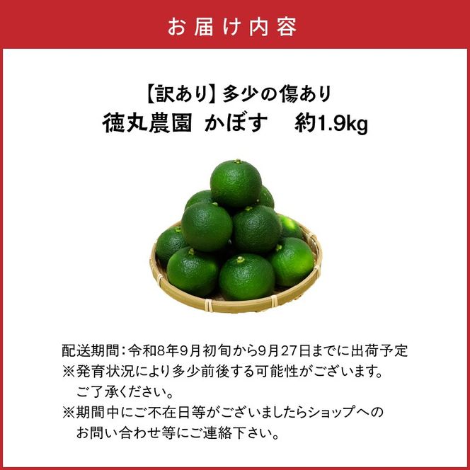【訳あり】多少の傷あり 徳丸農園かぼす約1.9kg_2265R