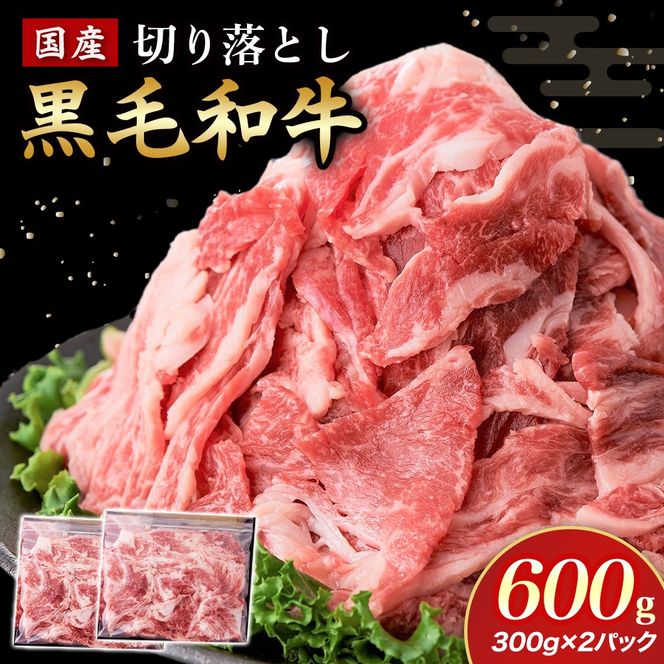 国産黒毛和牛切り落とし 600g （ 国産 牛 牛肉 黒毛和牛 切り落とし 真空 小分け 冷凍 宮崎県 小林市 ）