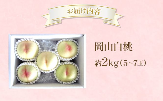 桃 2026年 先行受付 岡山 白桃 約2kg (5～7玉) フルーツ 果物 岡山 赤磐市