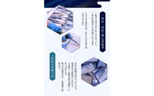 骨なし 無添加 塩さば 切身 60g × 20枚 (4枚入り5セット) / さば 塩さば 冷凍 おかず 魚 お魚 魚介 海鮮 安心 人気 大容量 小分け ごはんのお供 ふっくら やわらか 美味しい 焼き魚【nss501B】