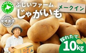 ＜先行予約＞北海道産 じゃがいも(メークイン) 約10kg | ジャガイモ 馬鈴薯 ポテト 芋 イモ 国産 野菜 人気 ふじいファーム